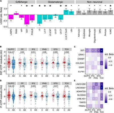 Bulk and Single-Nucleus Transcriptomics Highlight Intra-Telencephalic and Somatostatin Neurons in Alzheimer’s Disease